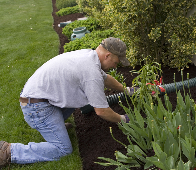 Worker Spreading Mulch