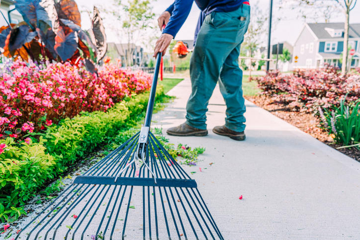 Landscape Worker raking
