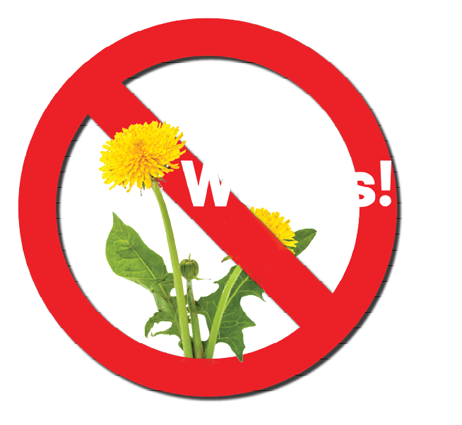 No Weeds Icon