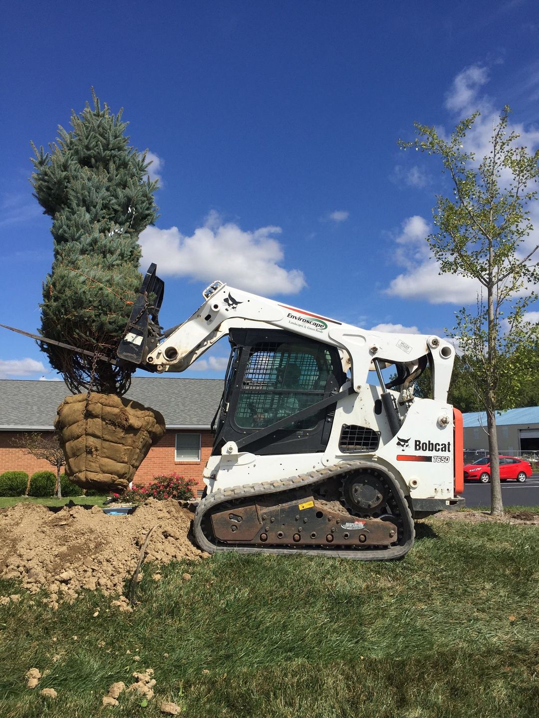 Bobcat excavator lifting a large tree outdoors