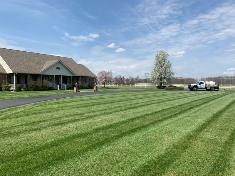 Manicured lawn in front of suburban house
