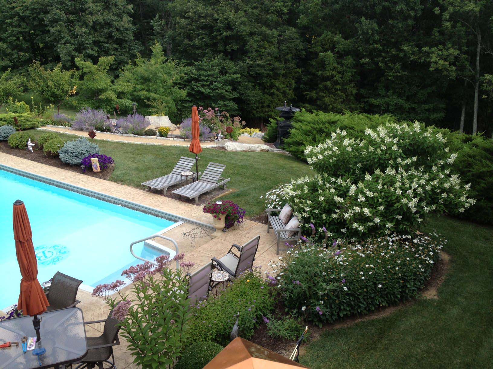 Backyard pool with lounge chairs and garden.