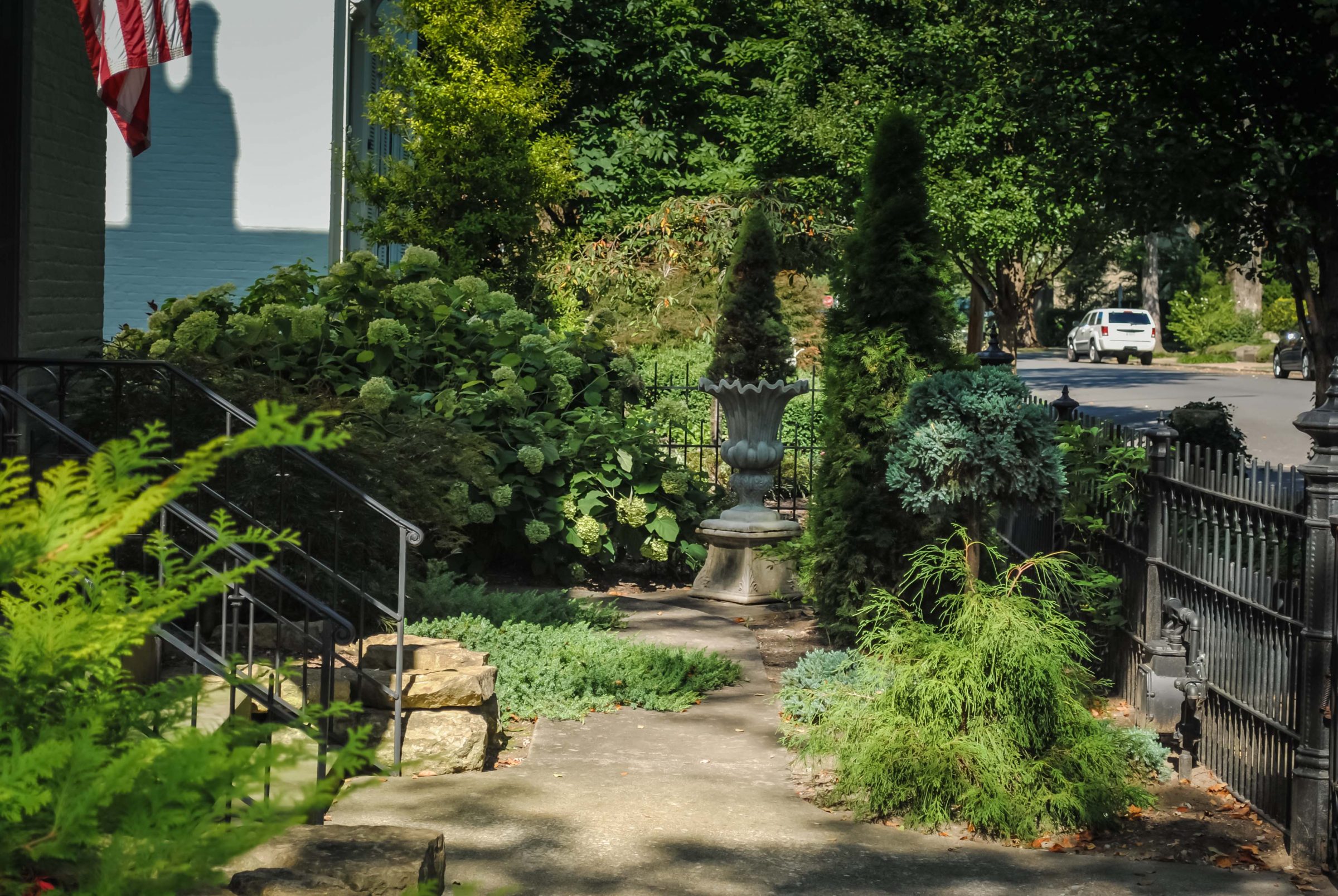 Sunlit garden path with lush green plants.