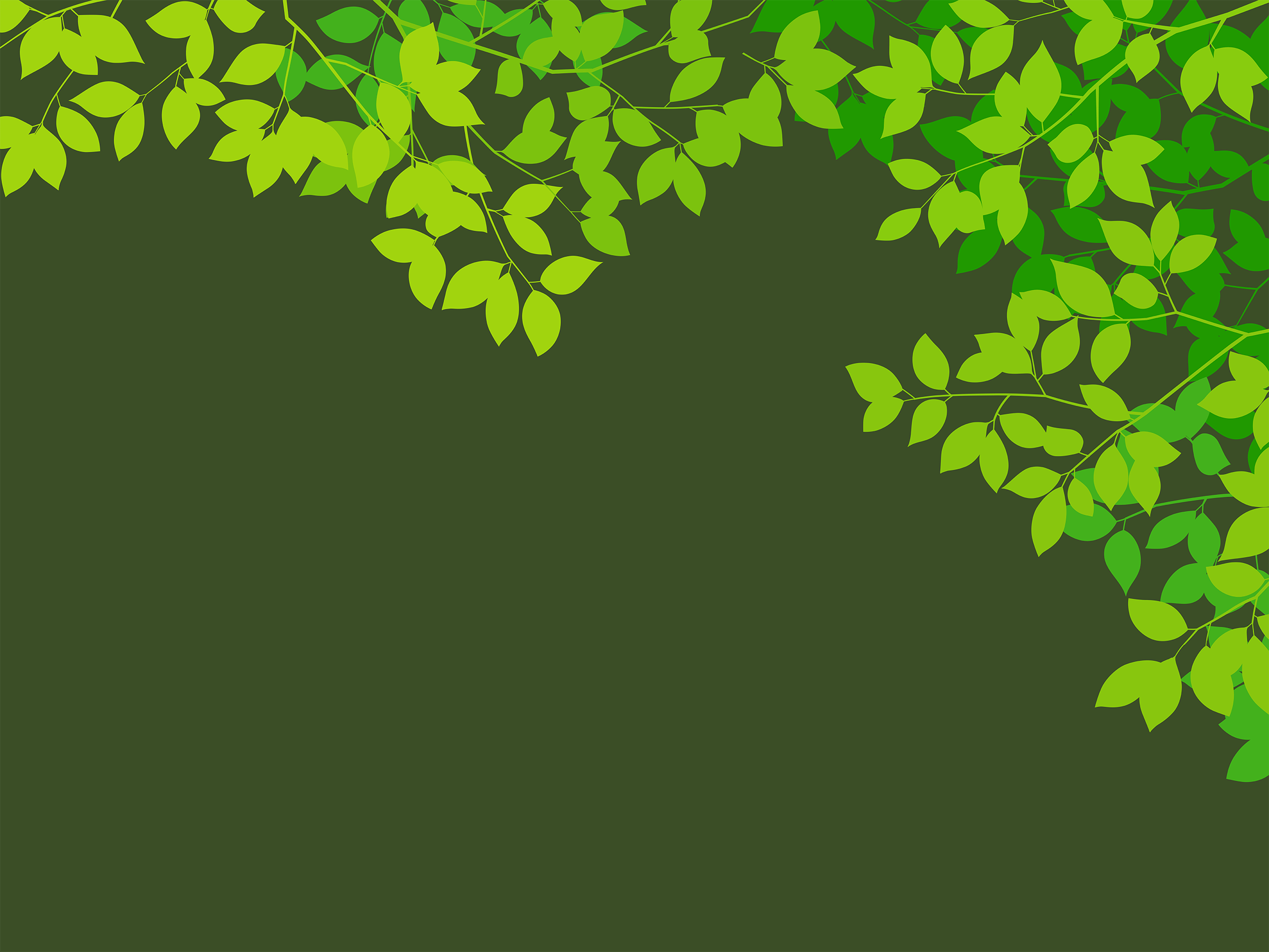 Green leaves on dark background