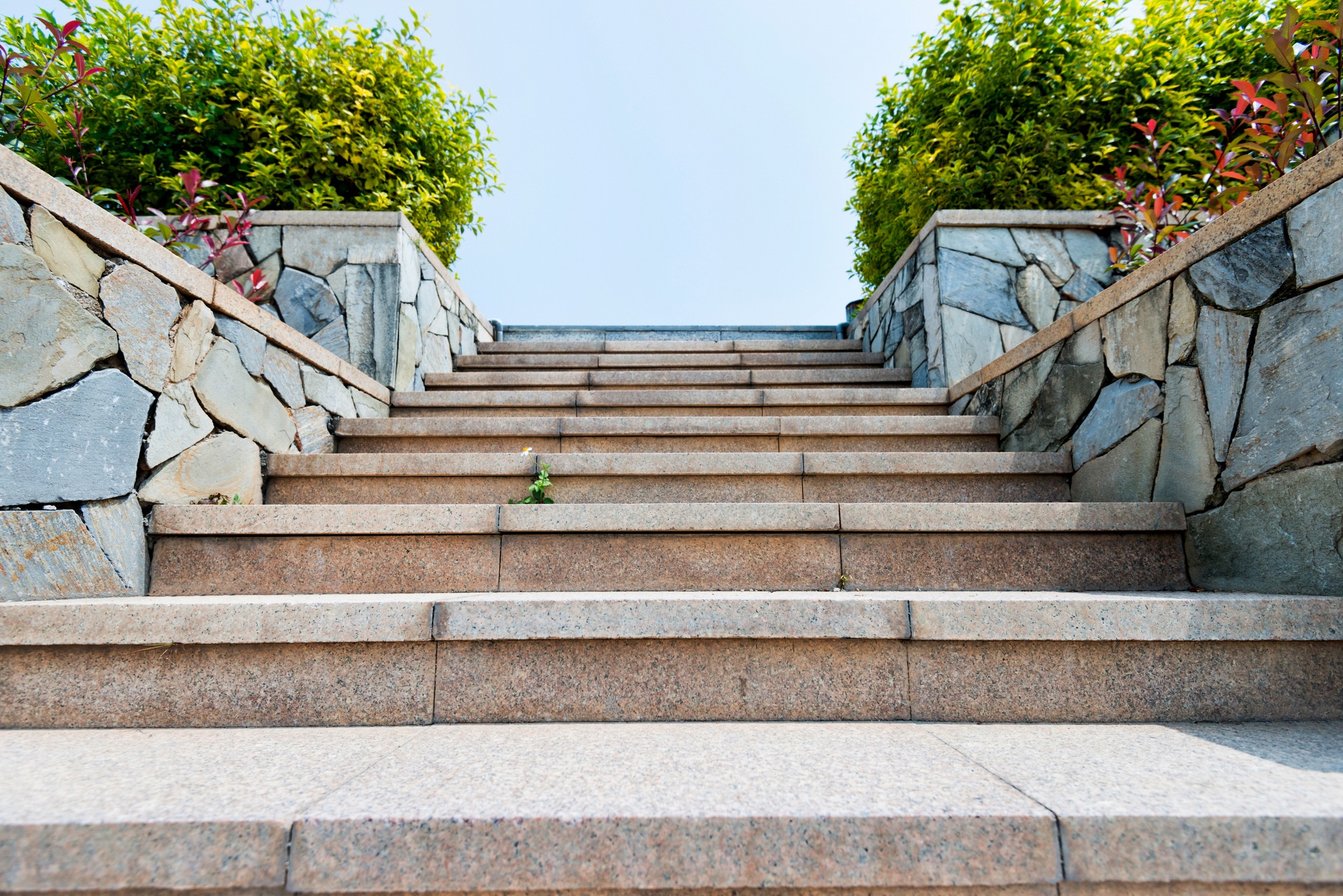 Stone stairs with plants and rock walls