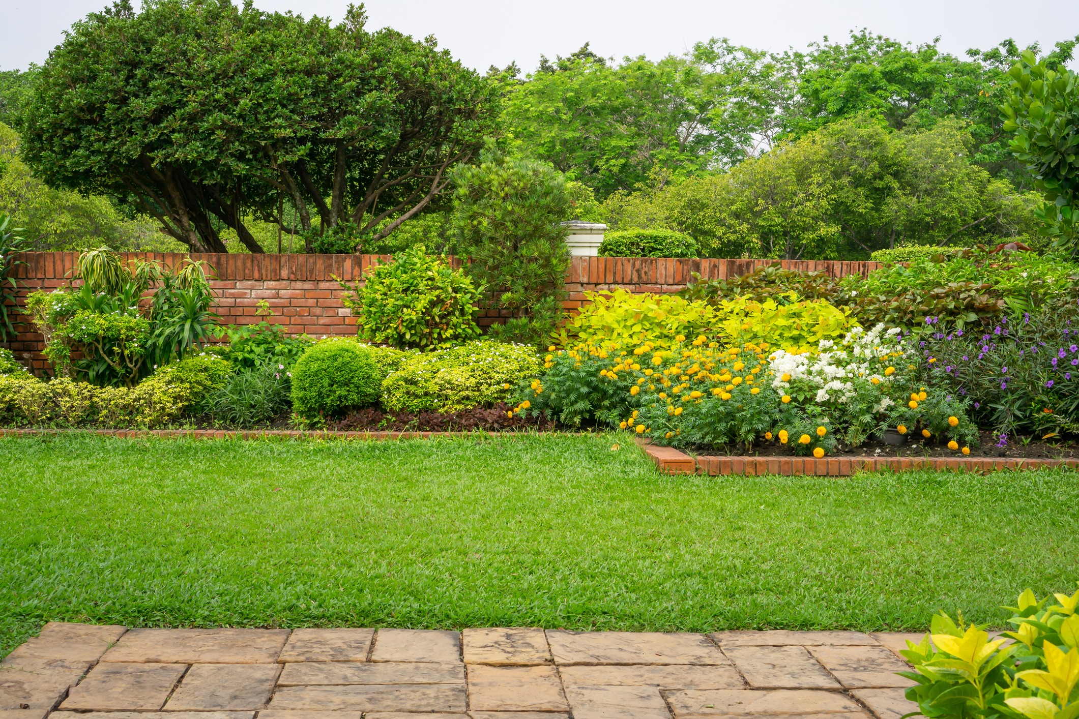 Colorful garden with green lawn and flowers