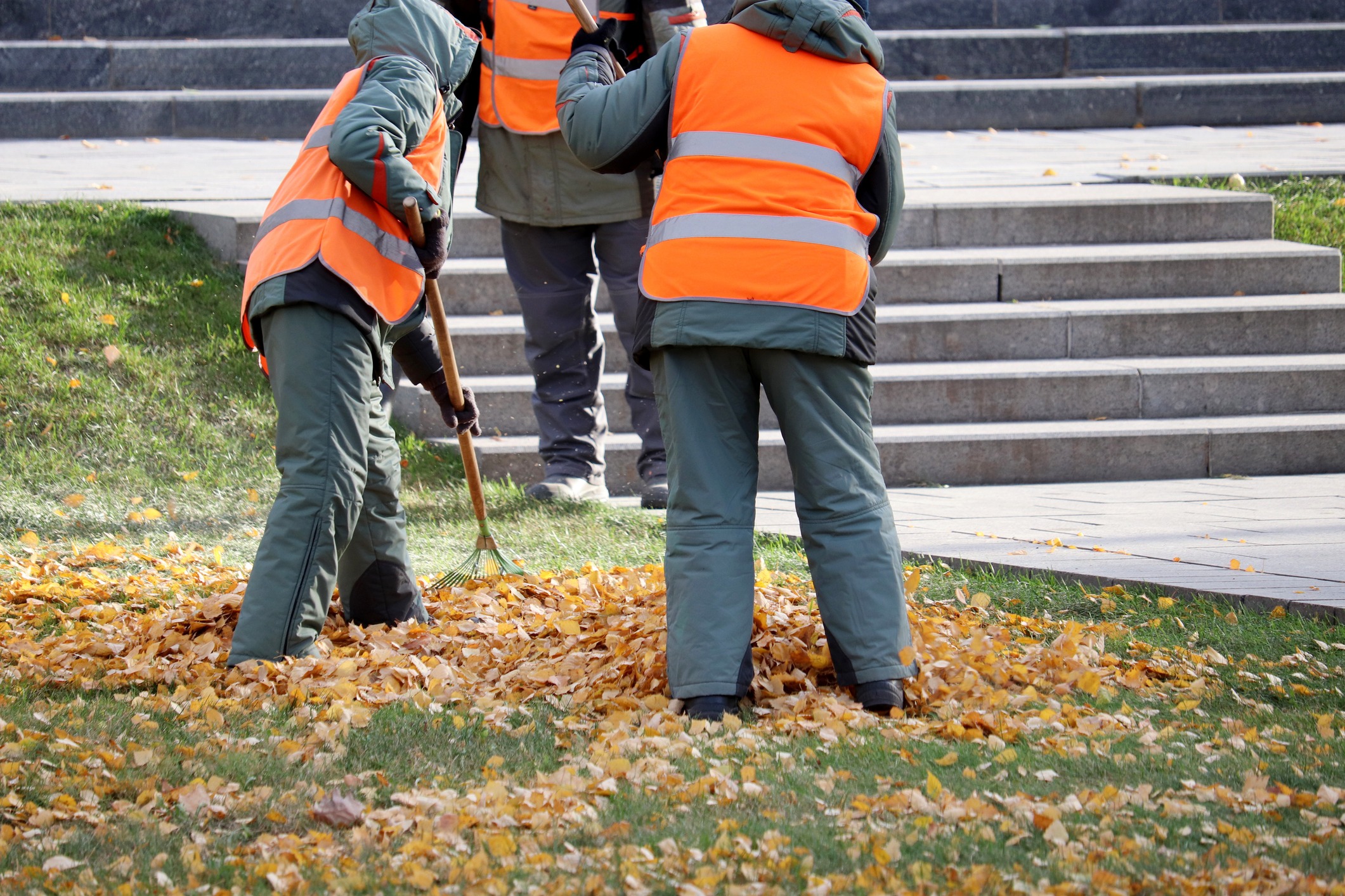 Workers raking fall leaves in park