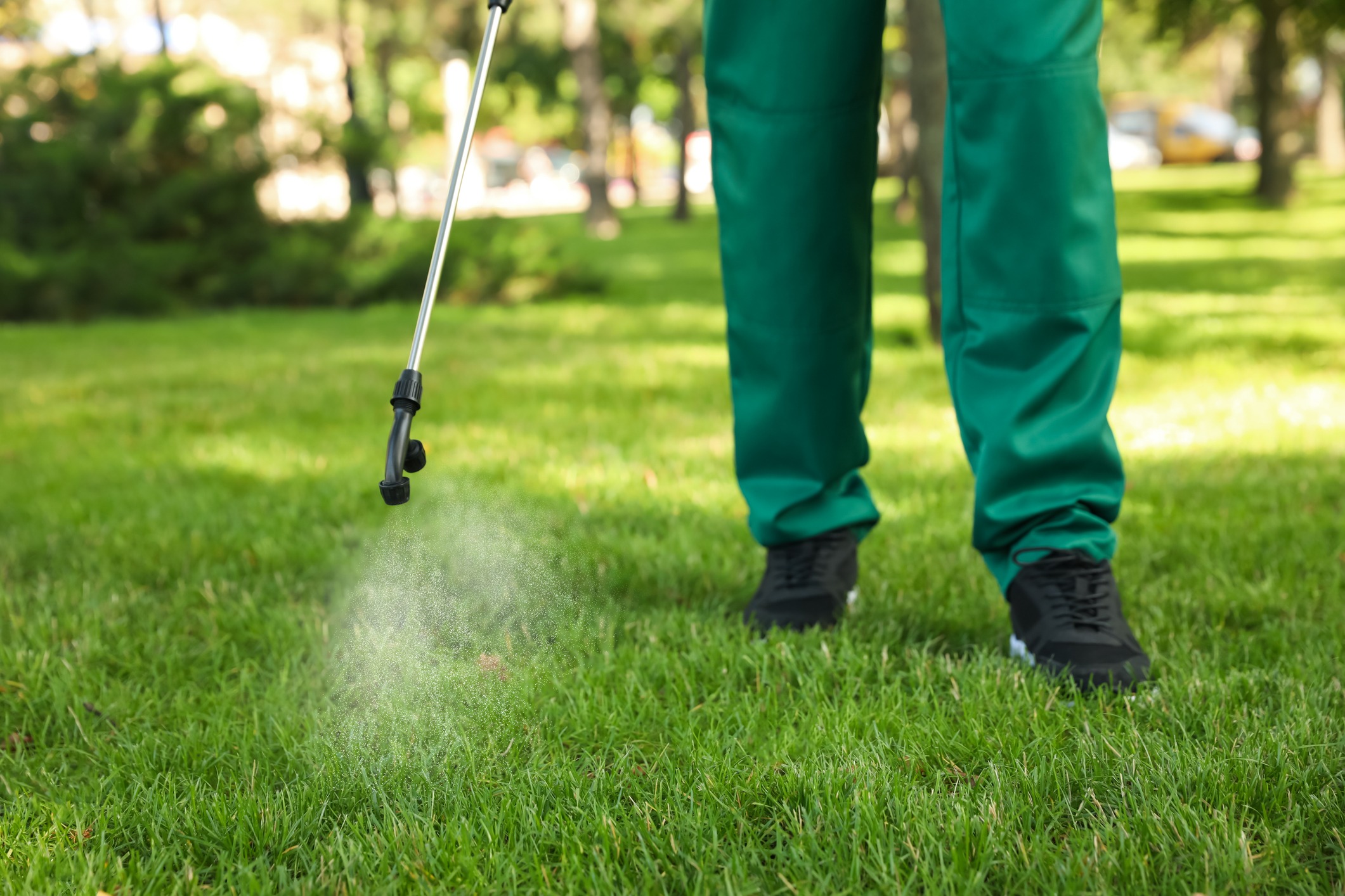 Person spraying lawn with pesticide nozzle