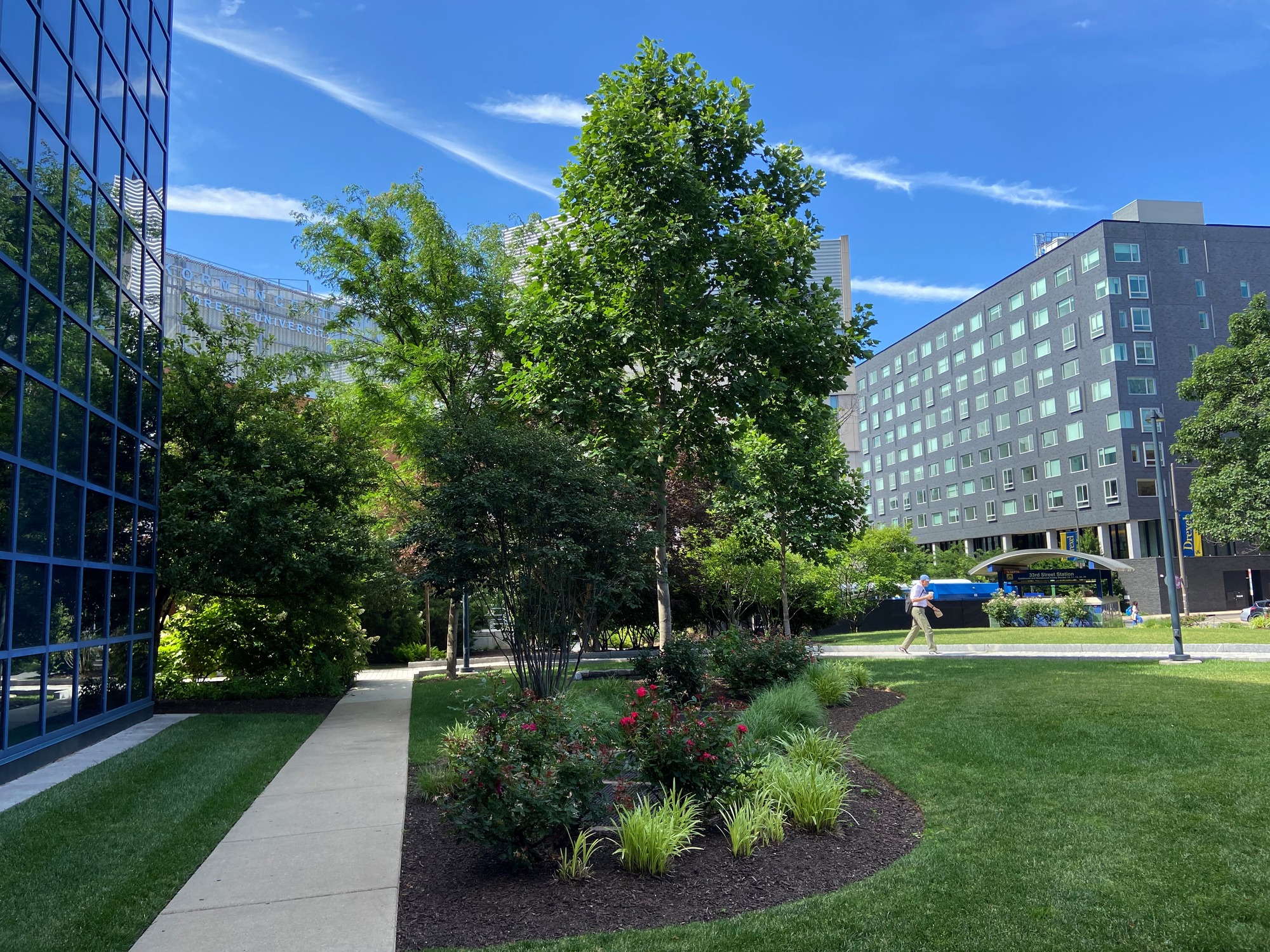 Urban park with greenery and buildings