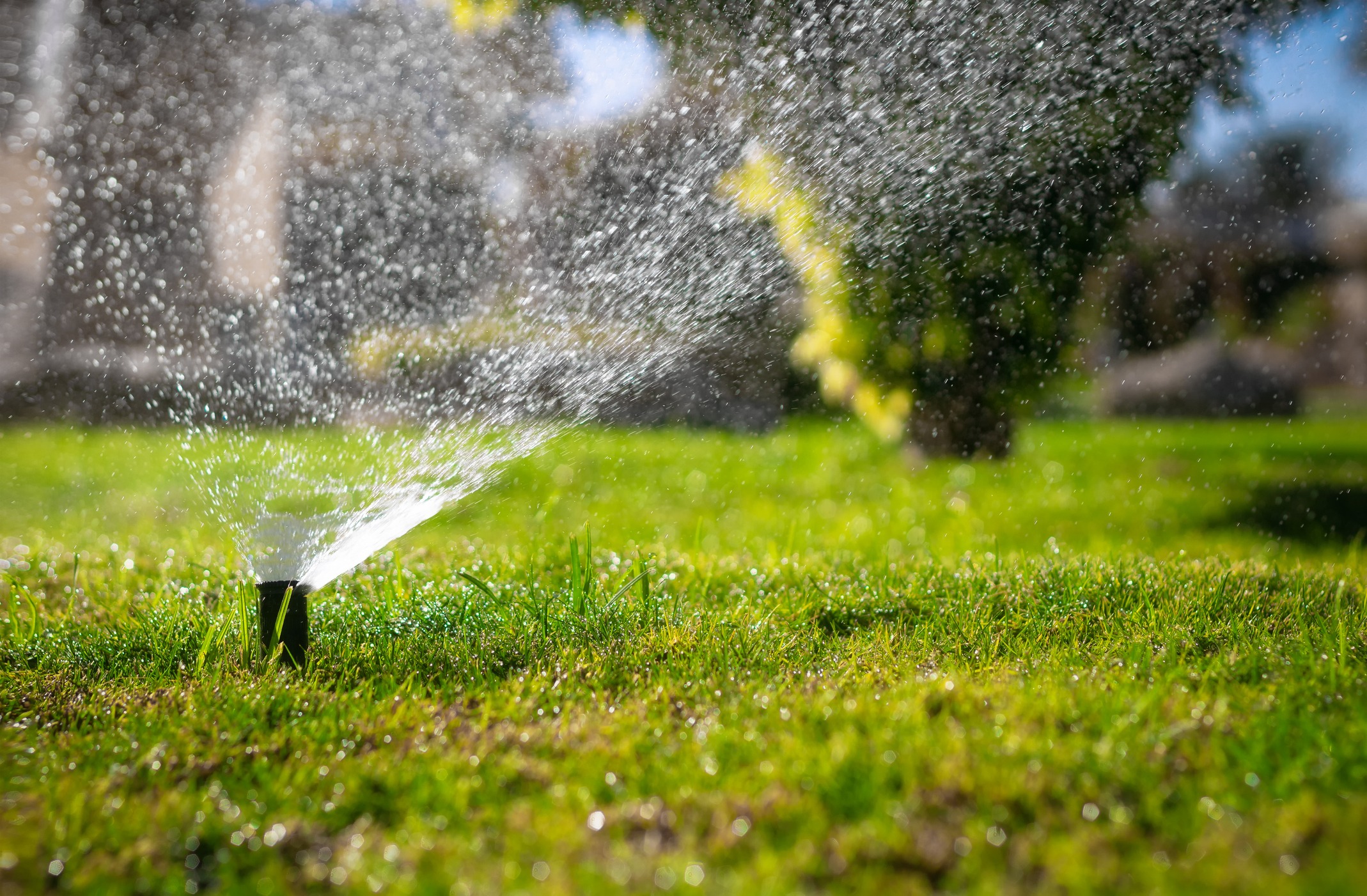 Lawn sprinkler watering grass on sunny day.