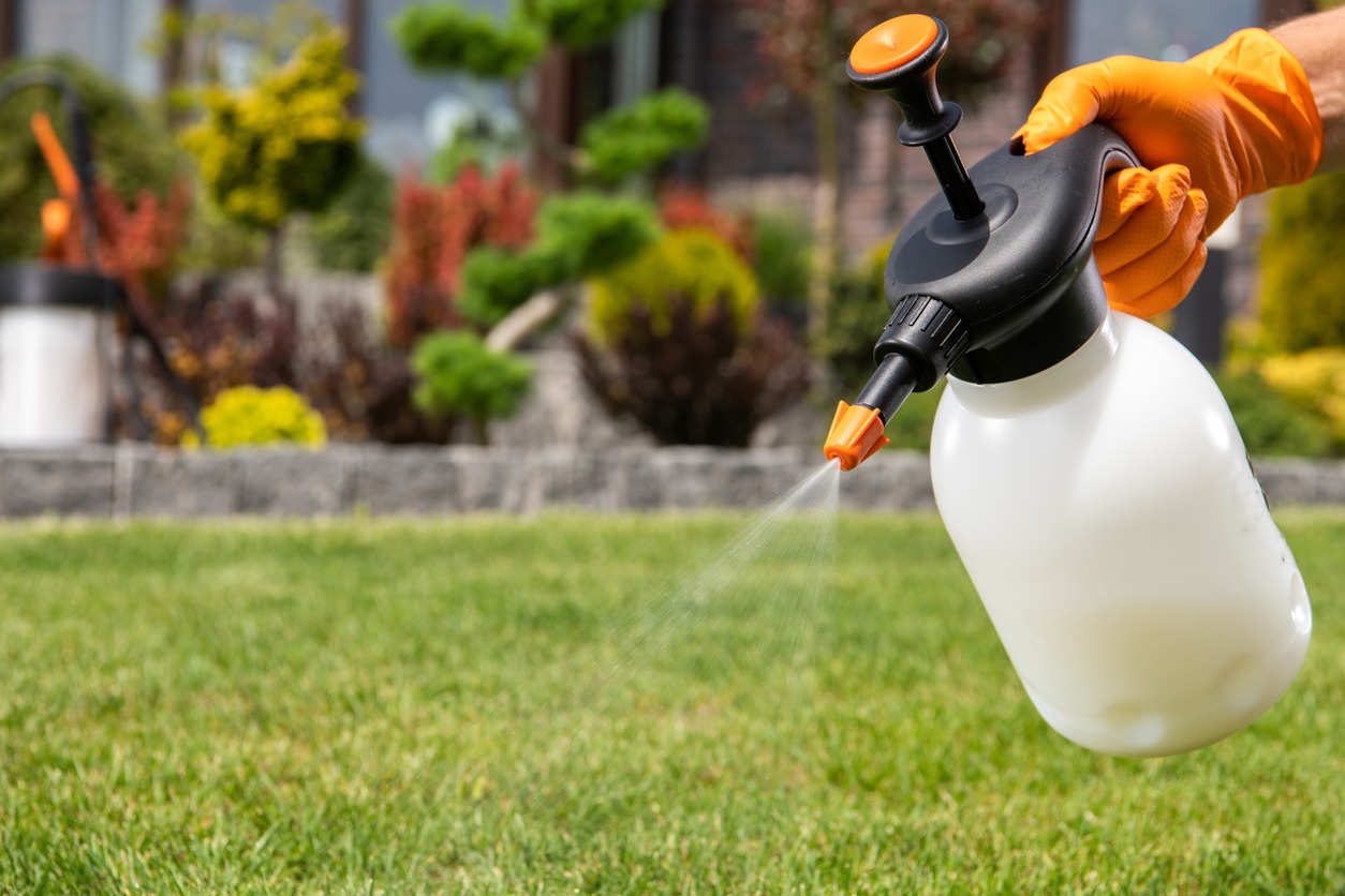 Hand spraying lawn with garden sprayer
