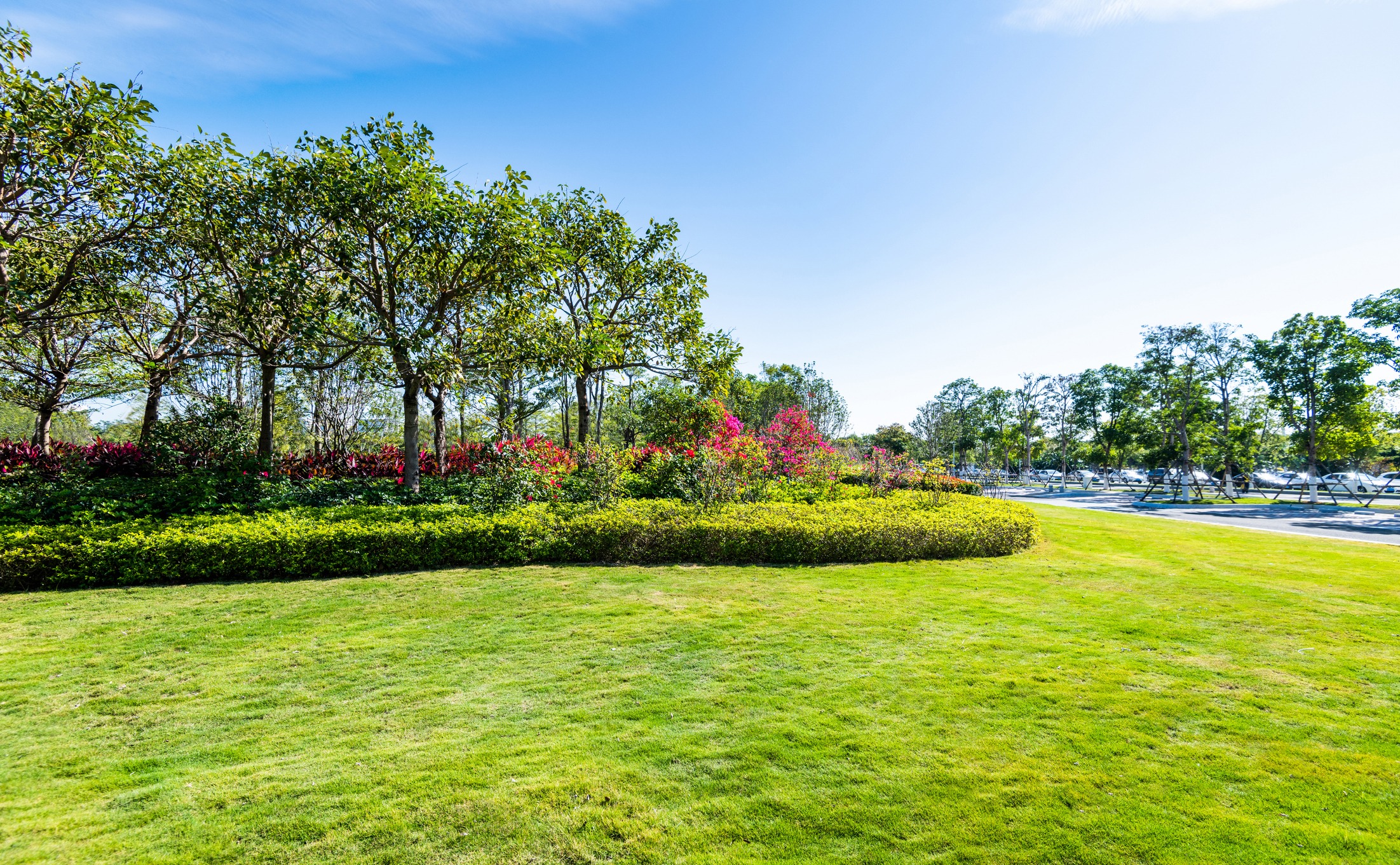 Lush park with trees and colorful flowers.