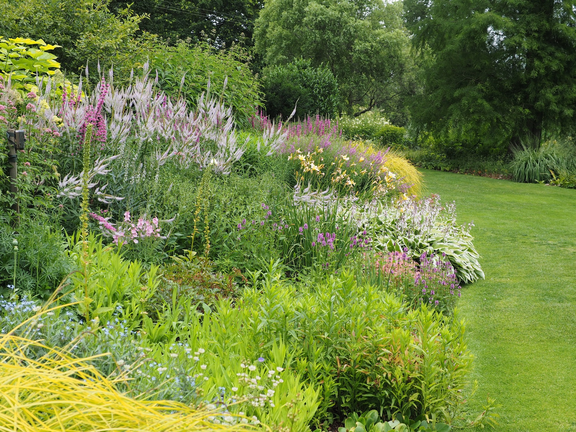 Lush garden with colorful flowers and green plants.