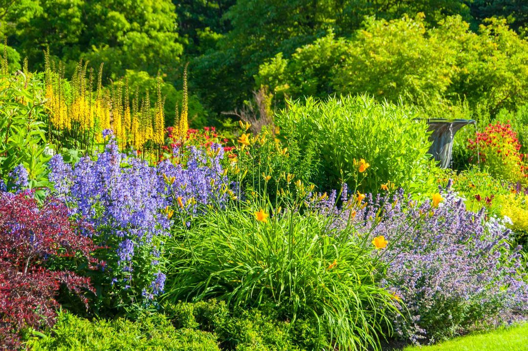 Vibrant garden with colorful flowers and green foliage.
