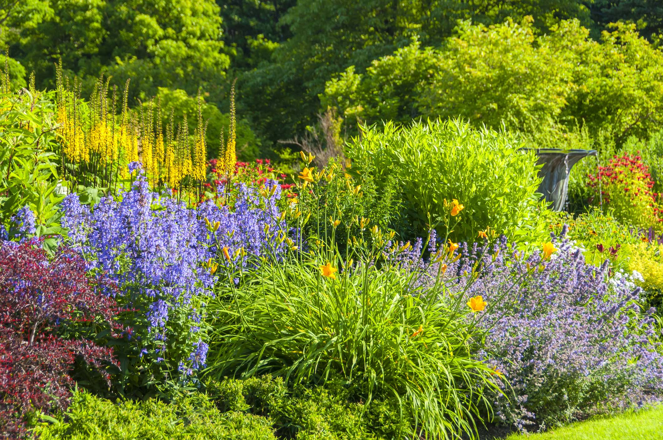 Colorful garden with blooming flowers and lush greenery.