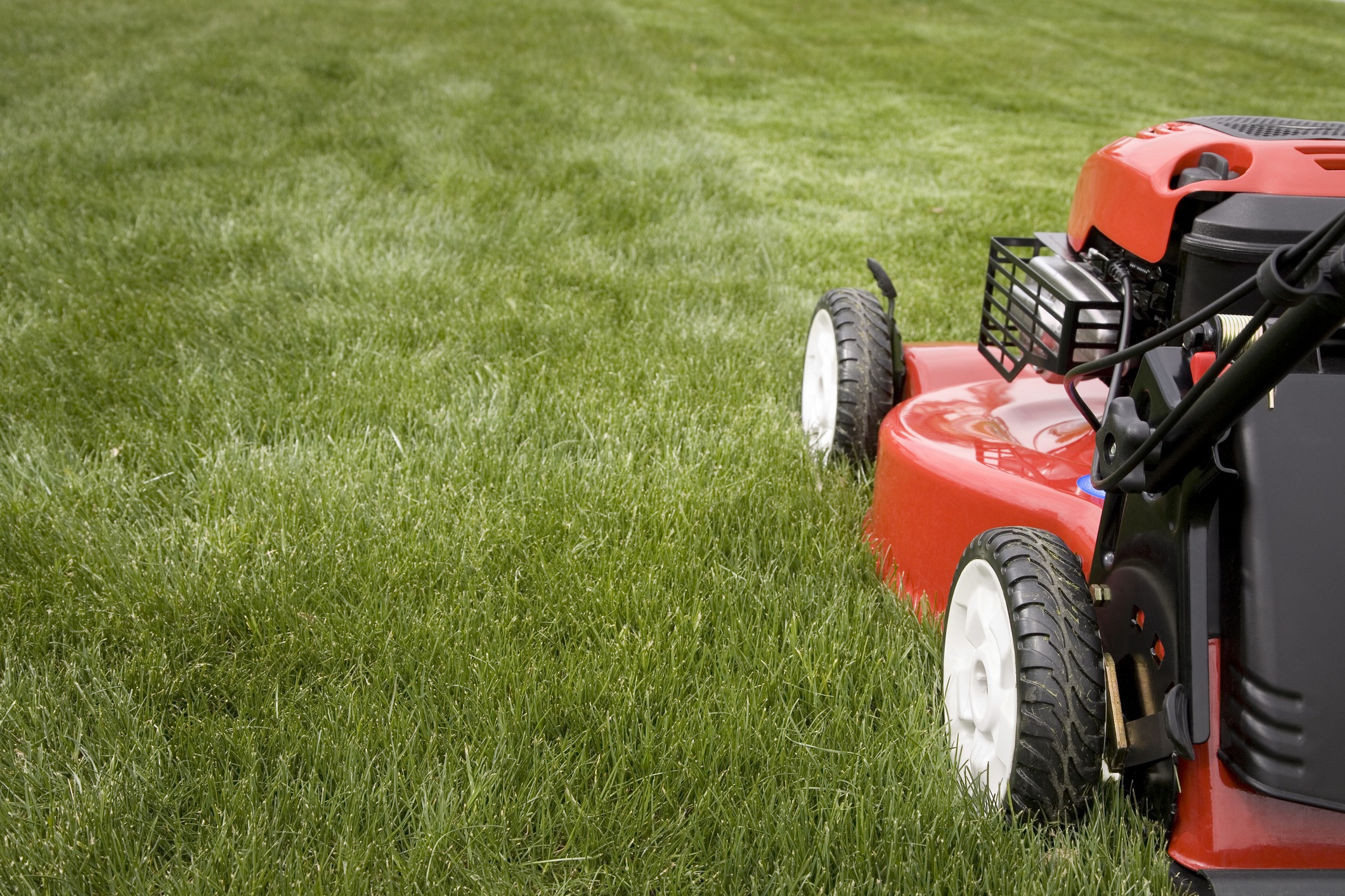 Red lawn mower cutting green grass