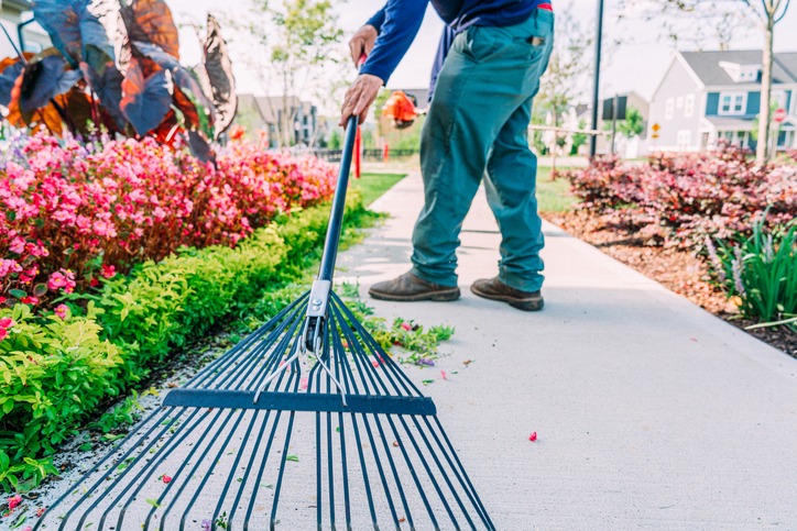 Person raking leaves on a garden pathway.