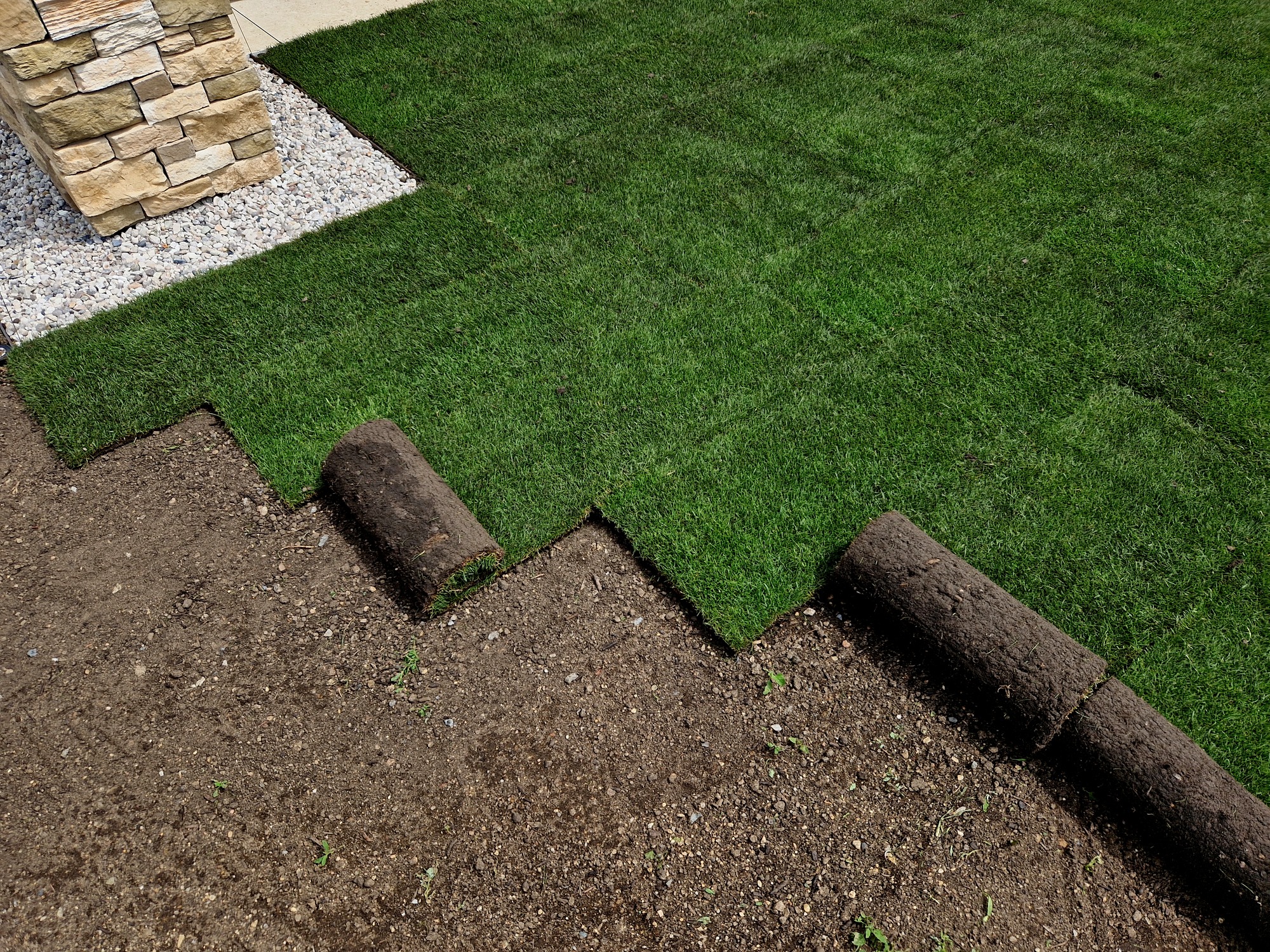 Laying fresh sod over soil near stone border.