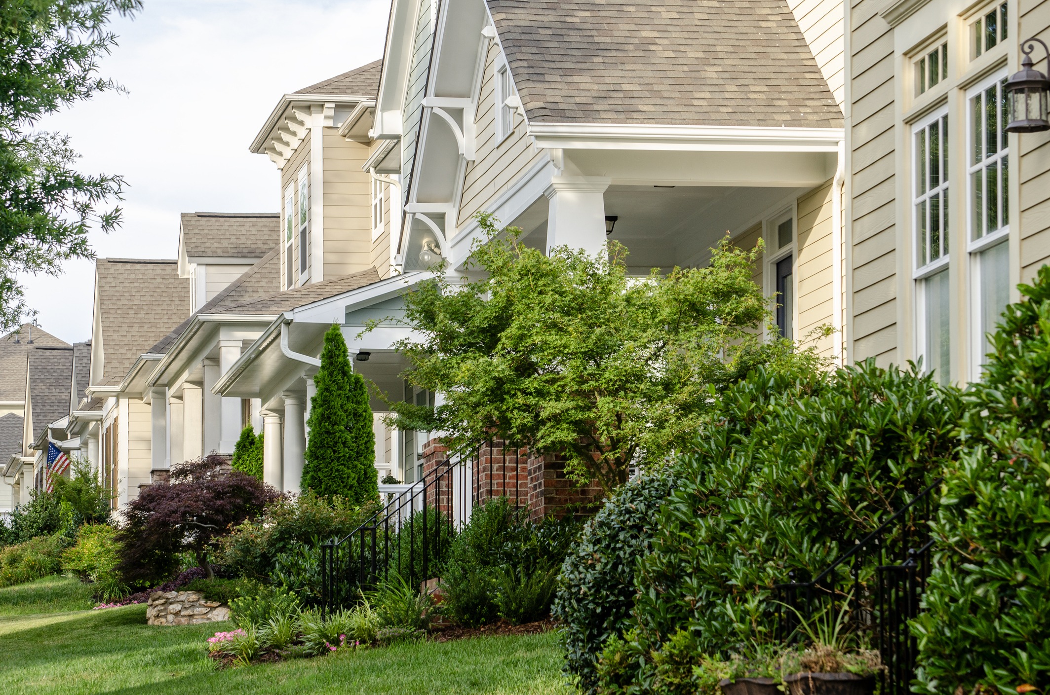 Suburban houses with lush front gardens