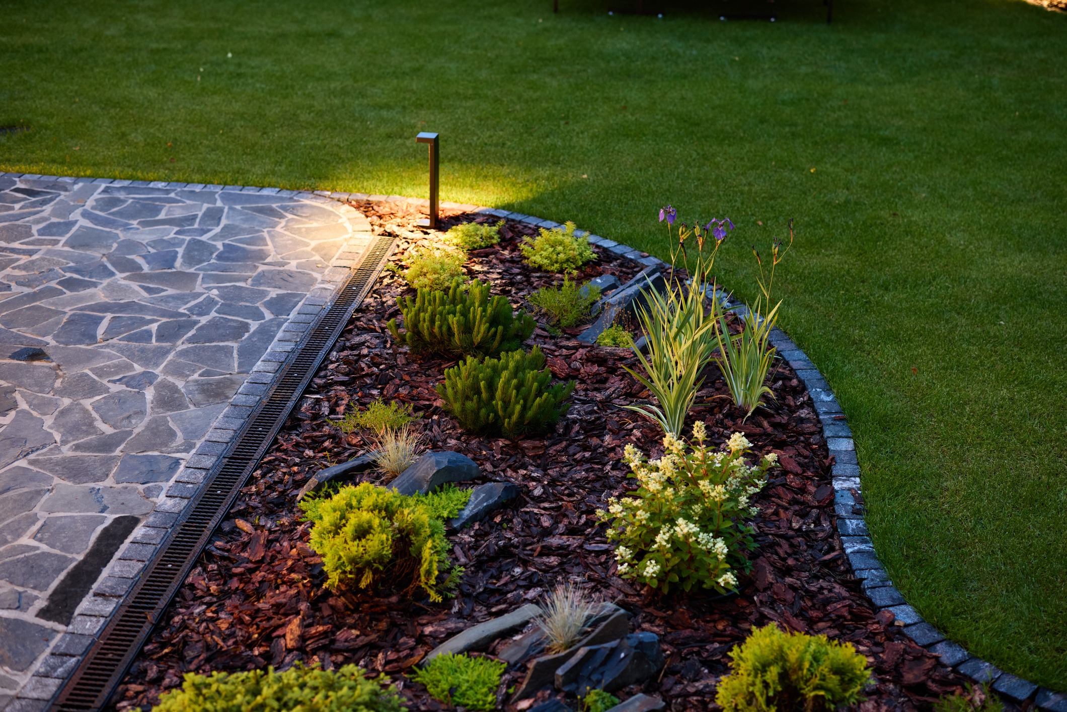 Illuminated garden path with plants at night