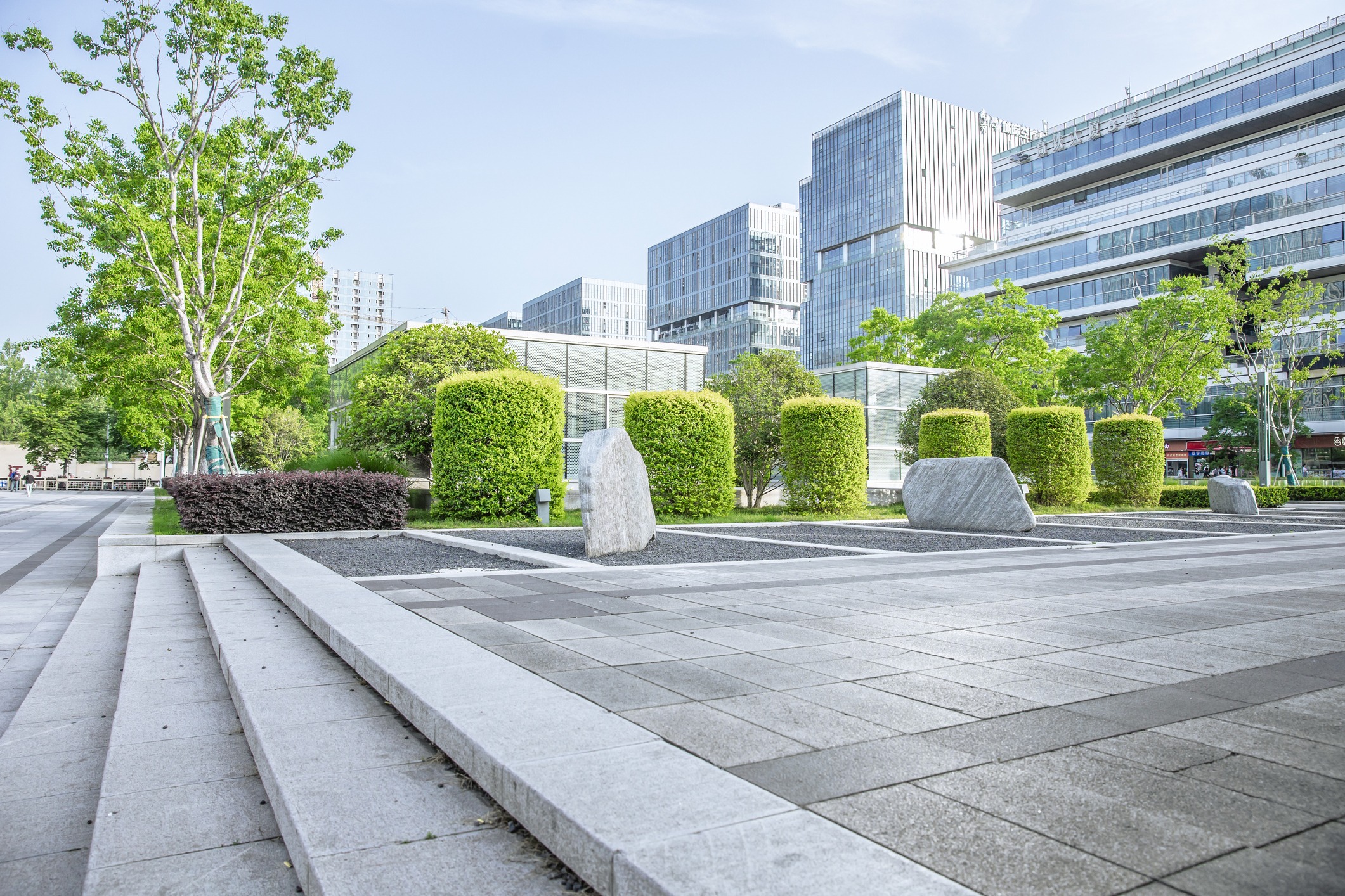 Urban park with modern buildings and greenery