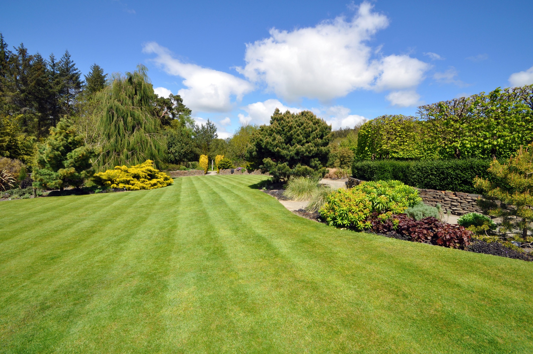 Lush green garden with trees and blue sky