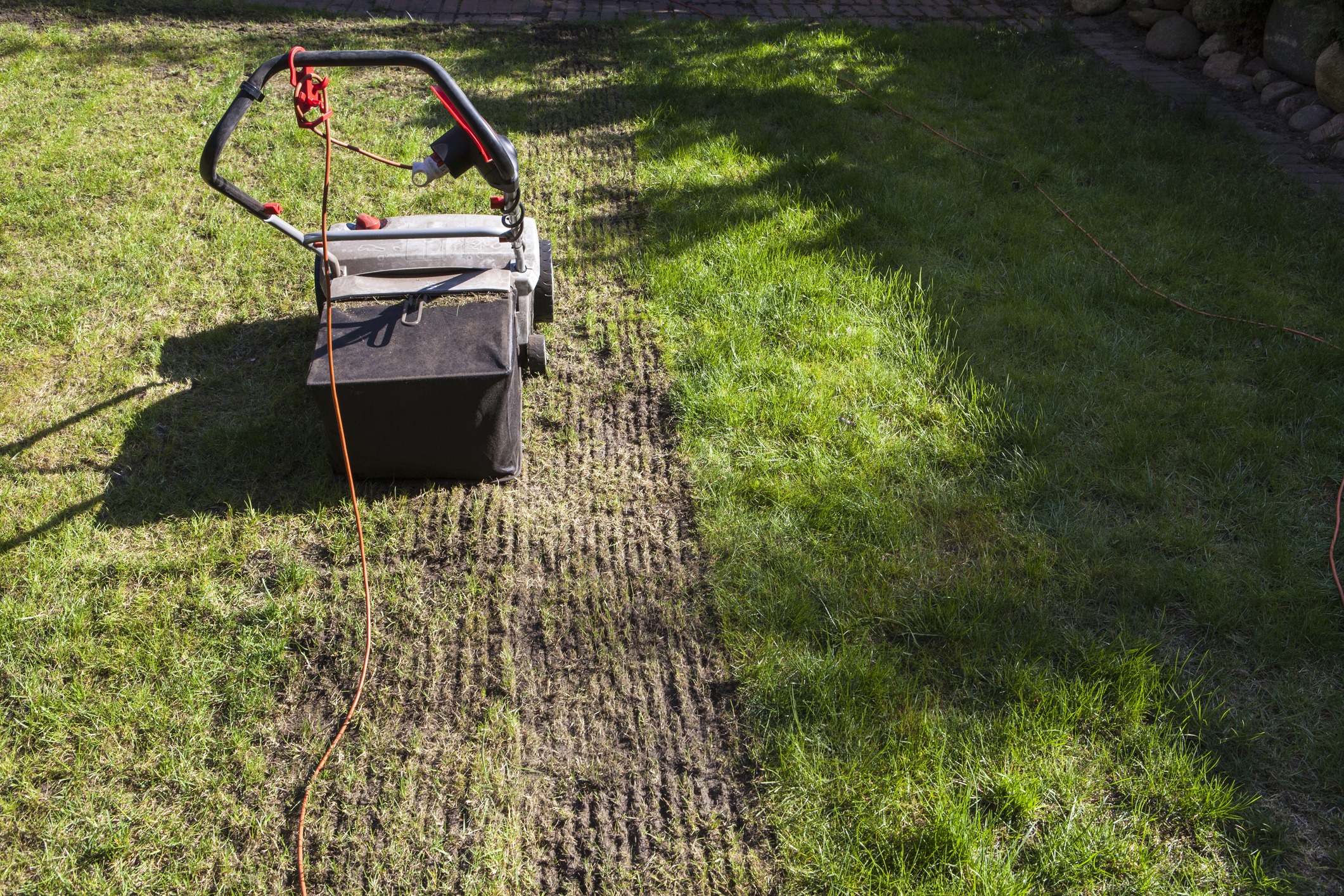 Electric lawn scarifier on grass, aerating lawn.