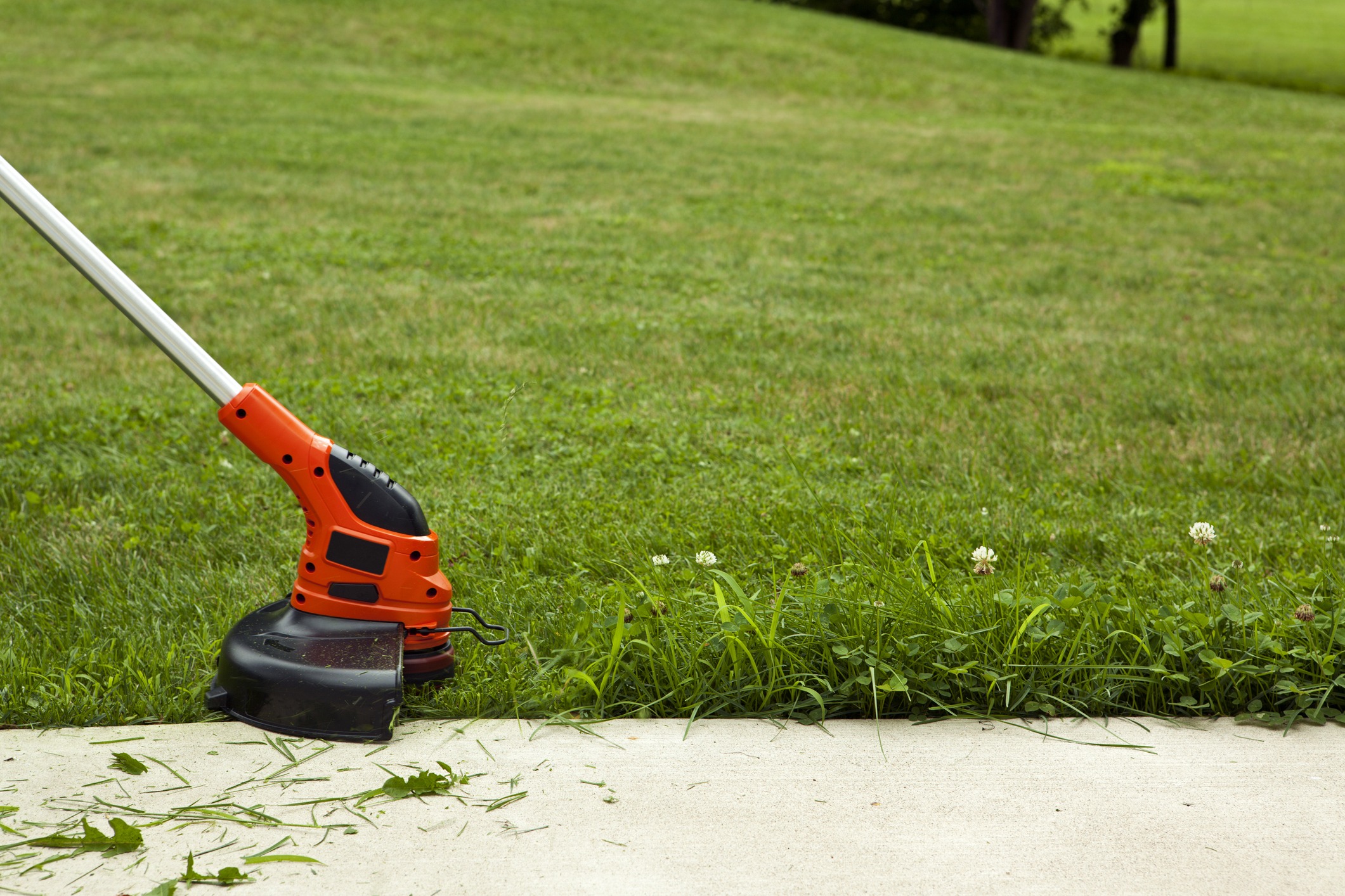 Electric trimmer cutting grass beside concrete path.