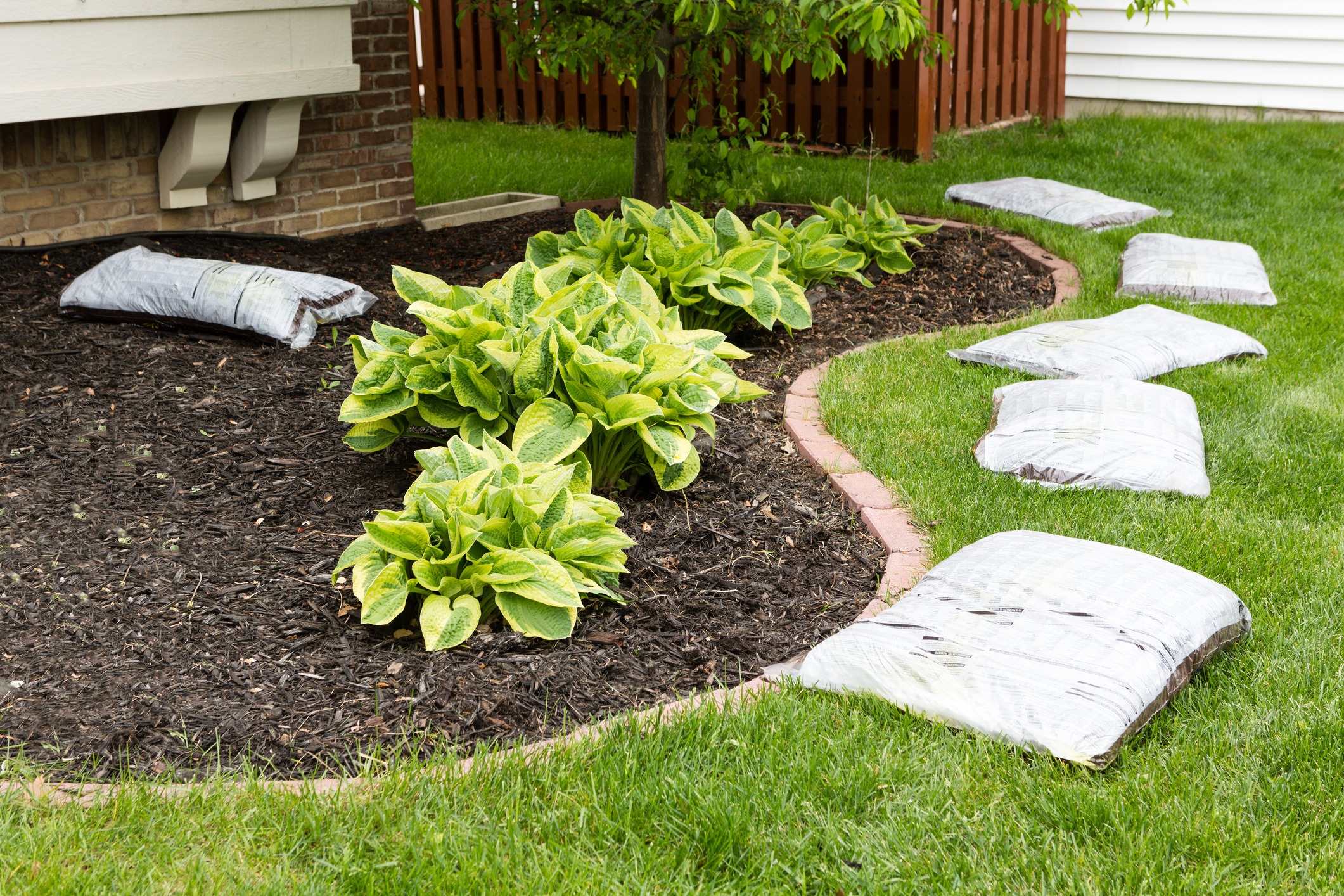 Landscape with hostas and mulch bags