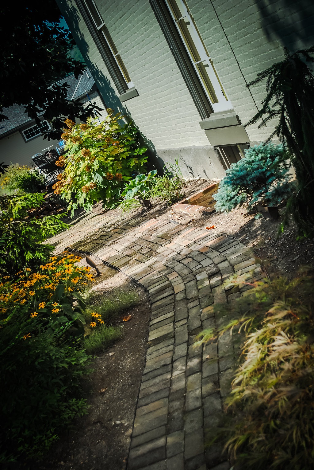 Curved brick pathway beside house with garden plants.