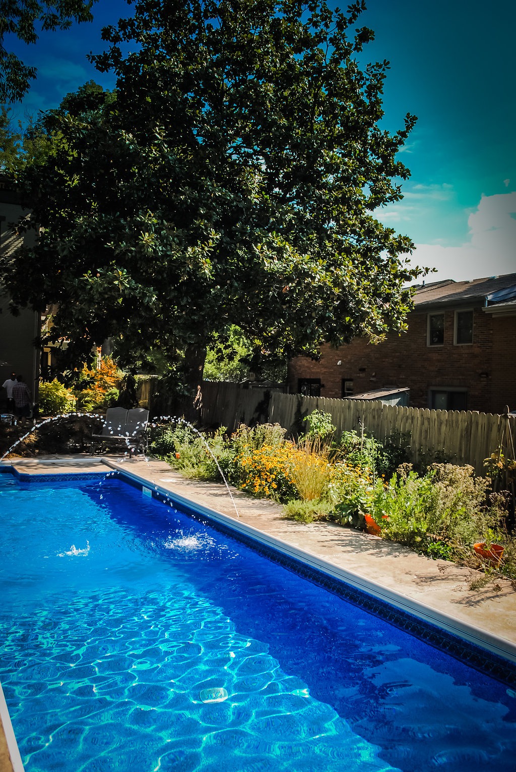 Backyard pool with garden and tree oversight.